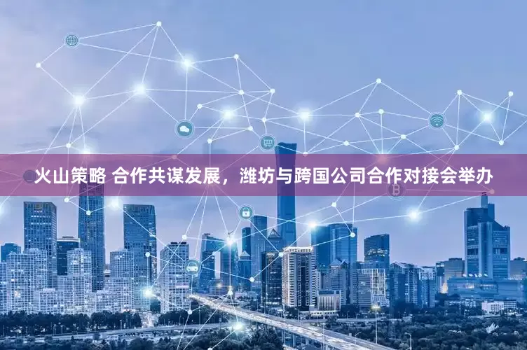 火山策略 合作共谋发展，潍坊与跨国公司合作对接会举办