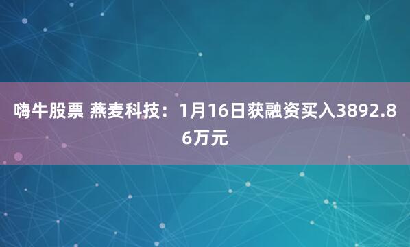 嗨牛股票 燕麦科技：1月16日获融资买入3892.86万元